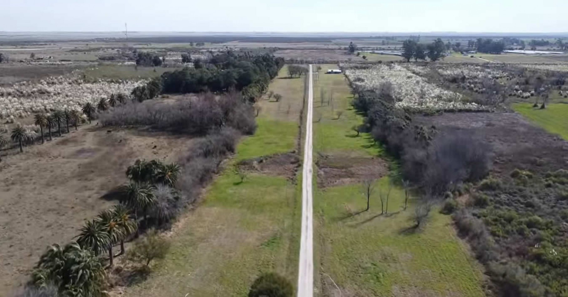 Lotes Brisa Nativa Barrio Caima en venta